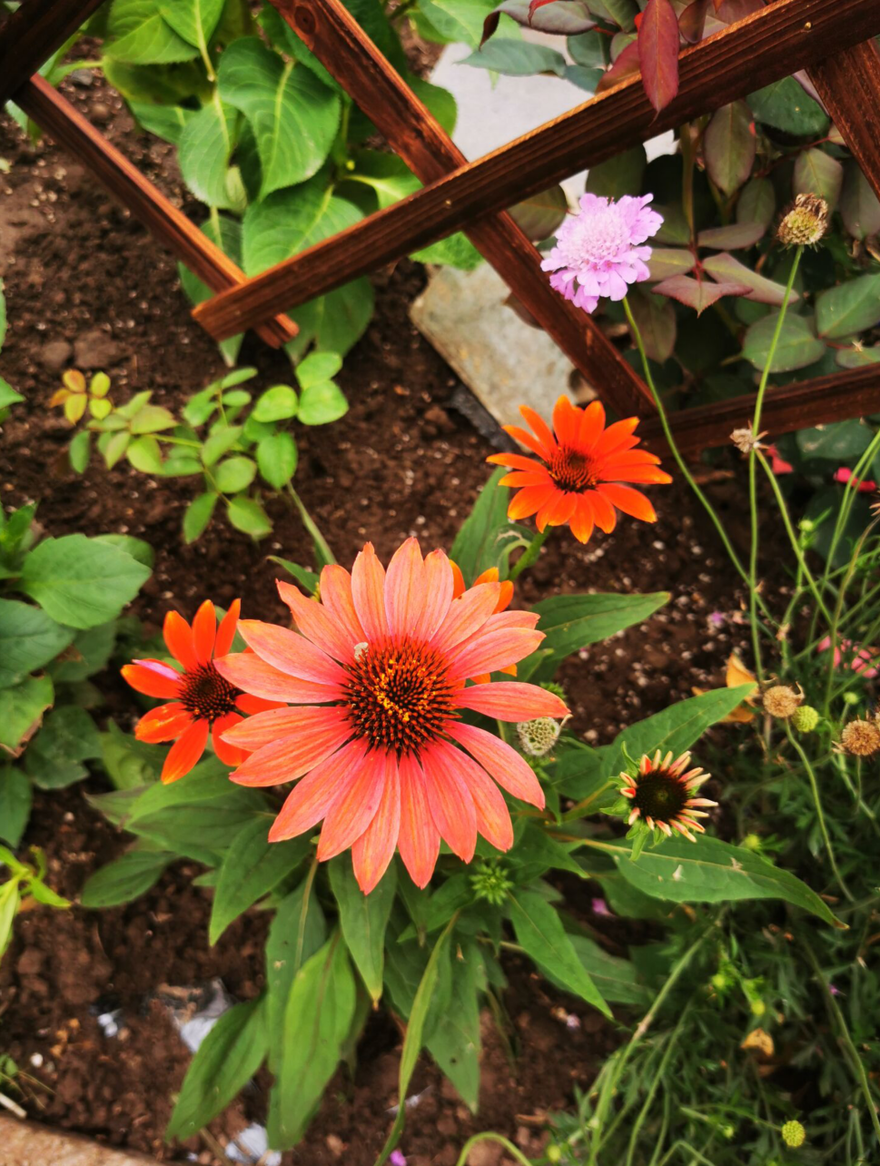 2024-06-12T04:22:57.png 2024-06-12T04:22:57.png