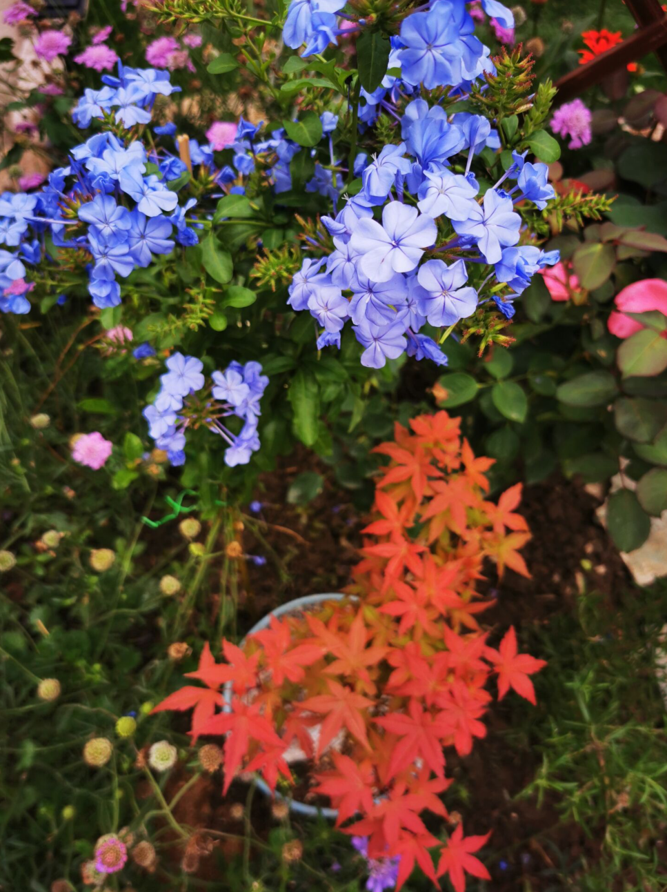2024-06-12T04:23:38.png 2024-06-12T04:23:38.png