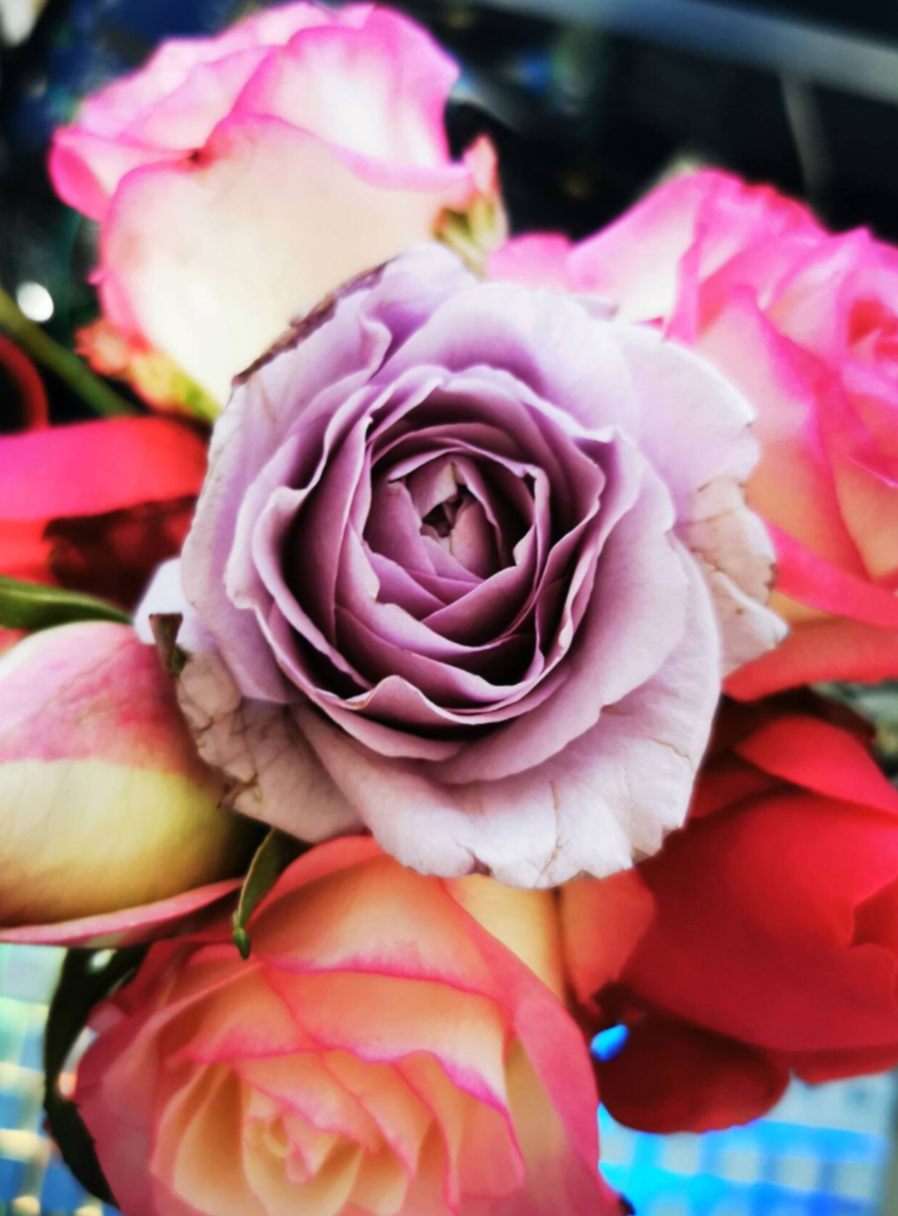 2025-01-01T11:48:08.png