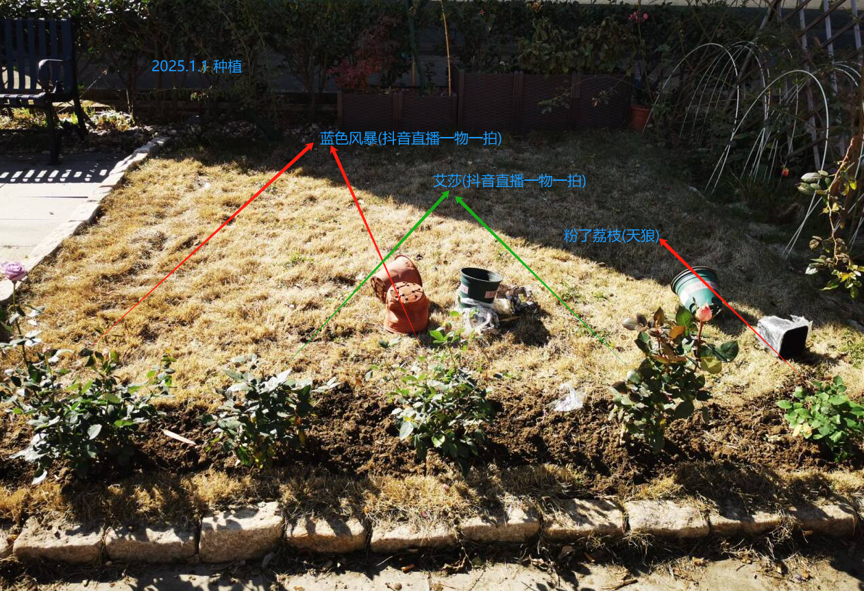 2025-01-01T09:55:14.png