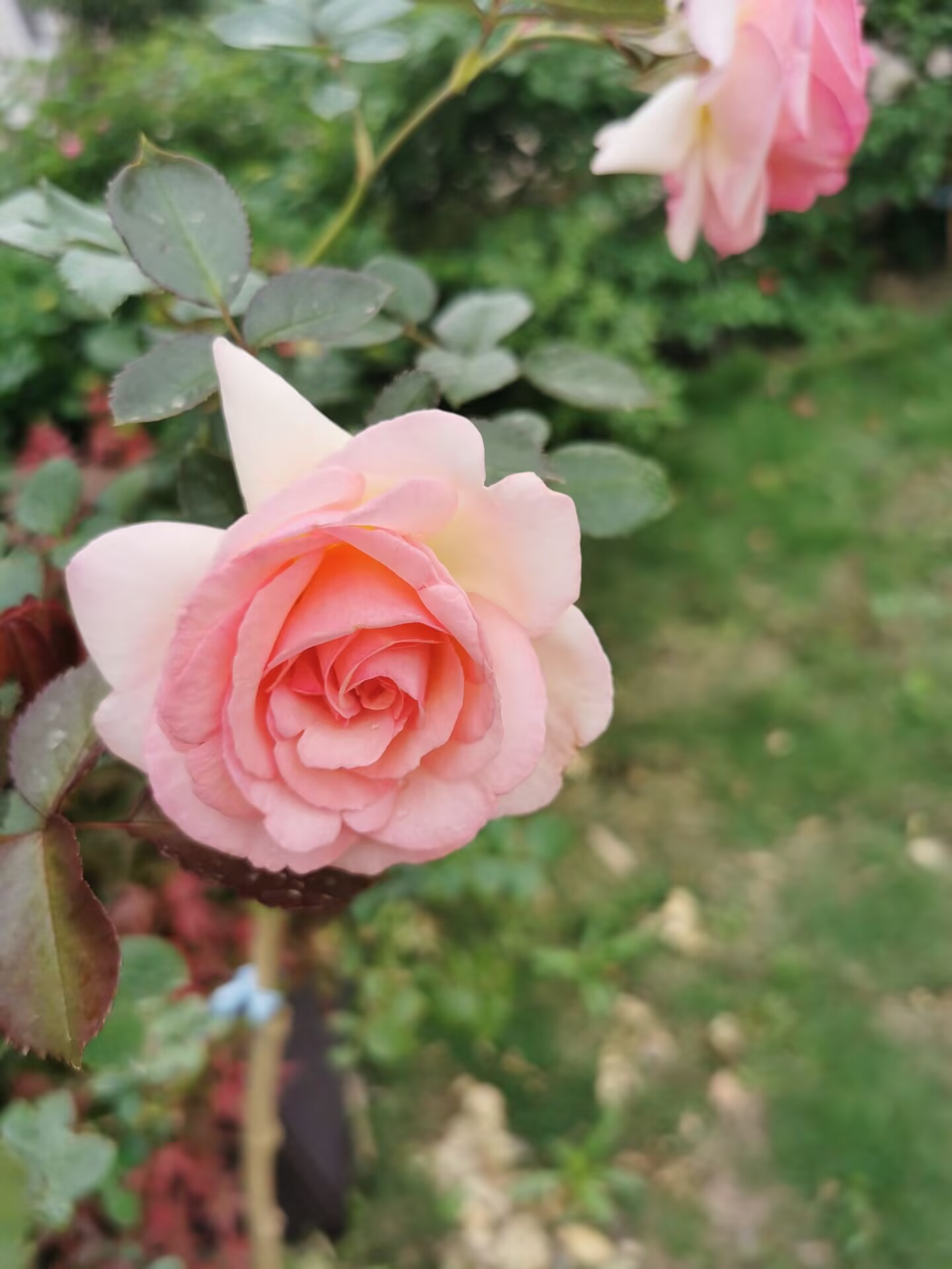 2025-05-08T01:55:43.png 2025-05-08T01:55:43.png