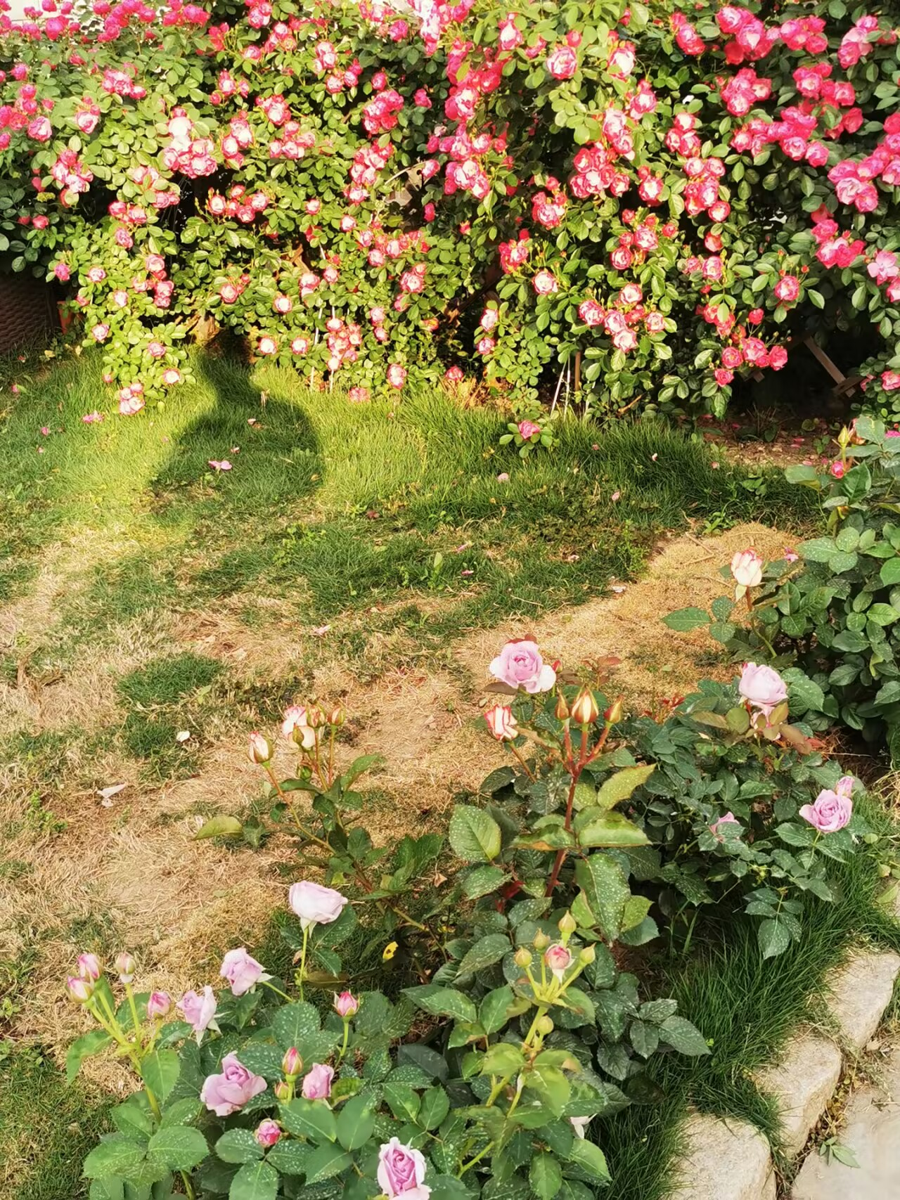 2025-05-08T01:55:57.png 2025-05-08T01:55:57.png