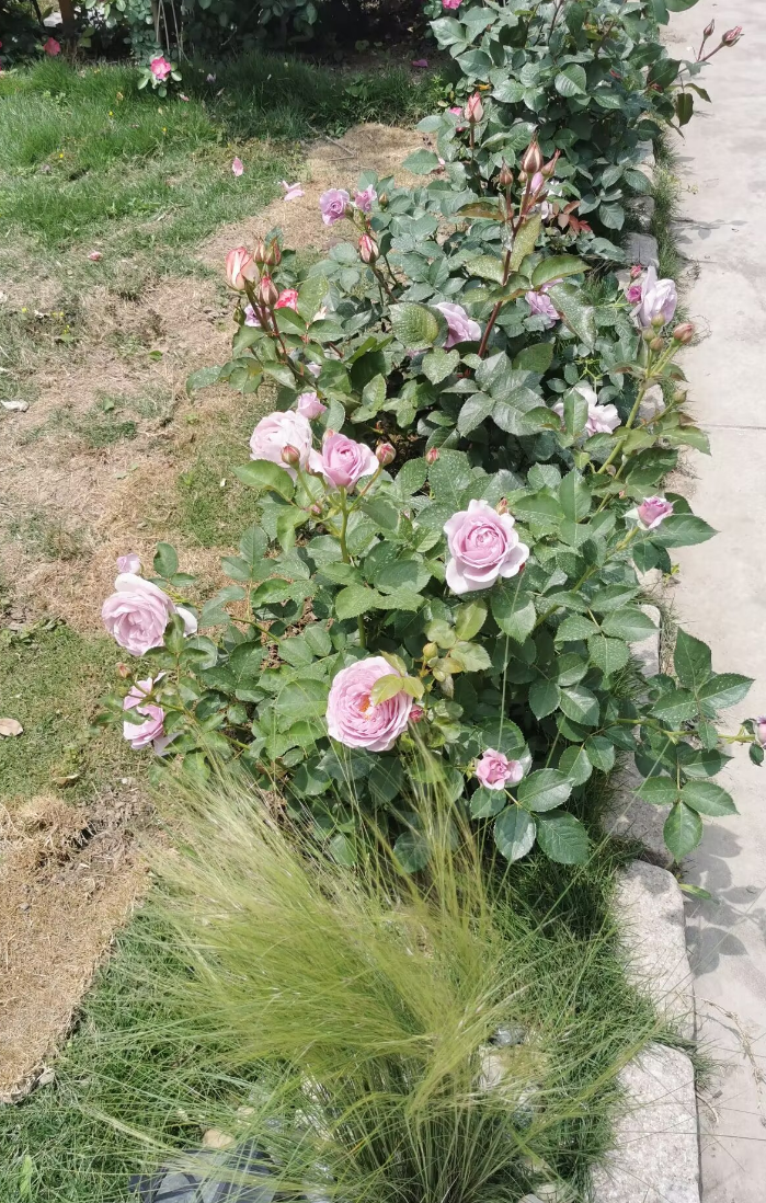 2025-05-08T02:09:52.png