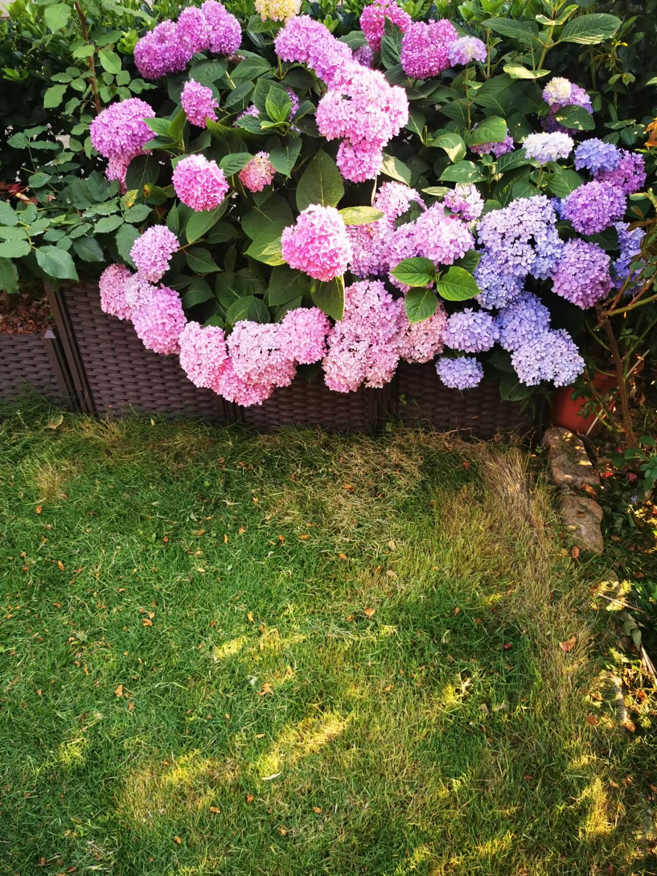 2025-06-10T07:25:45.png 2025-06-10T07:25:45.png