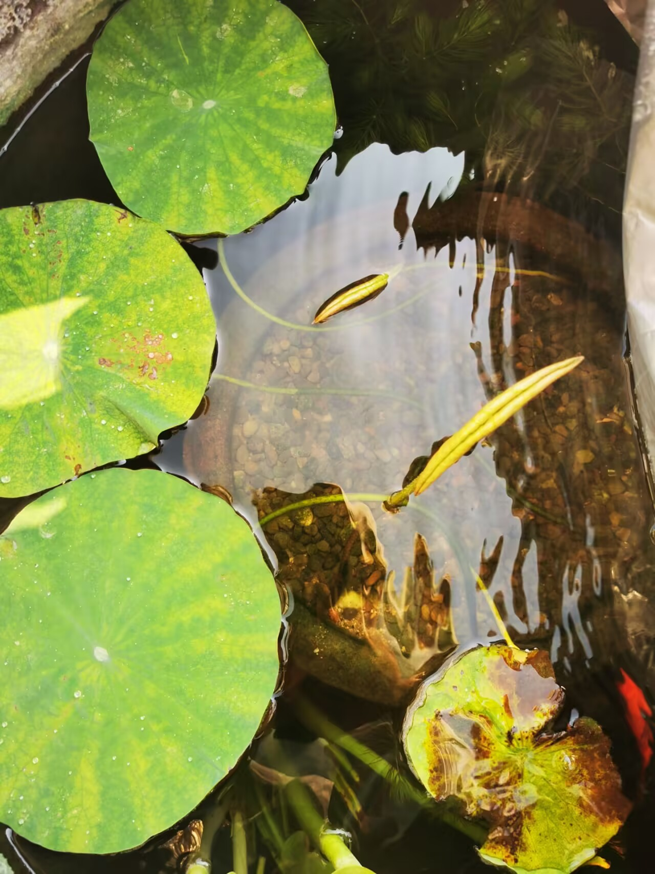 2025-06-10T07:26:02.png 2025-06-10T07:26:02.png