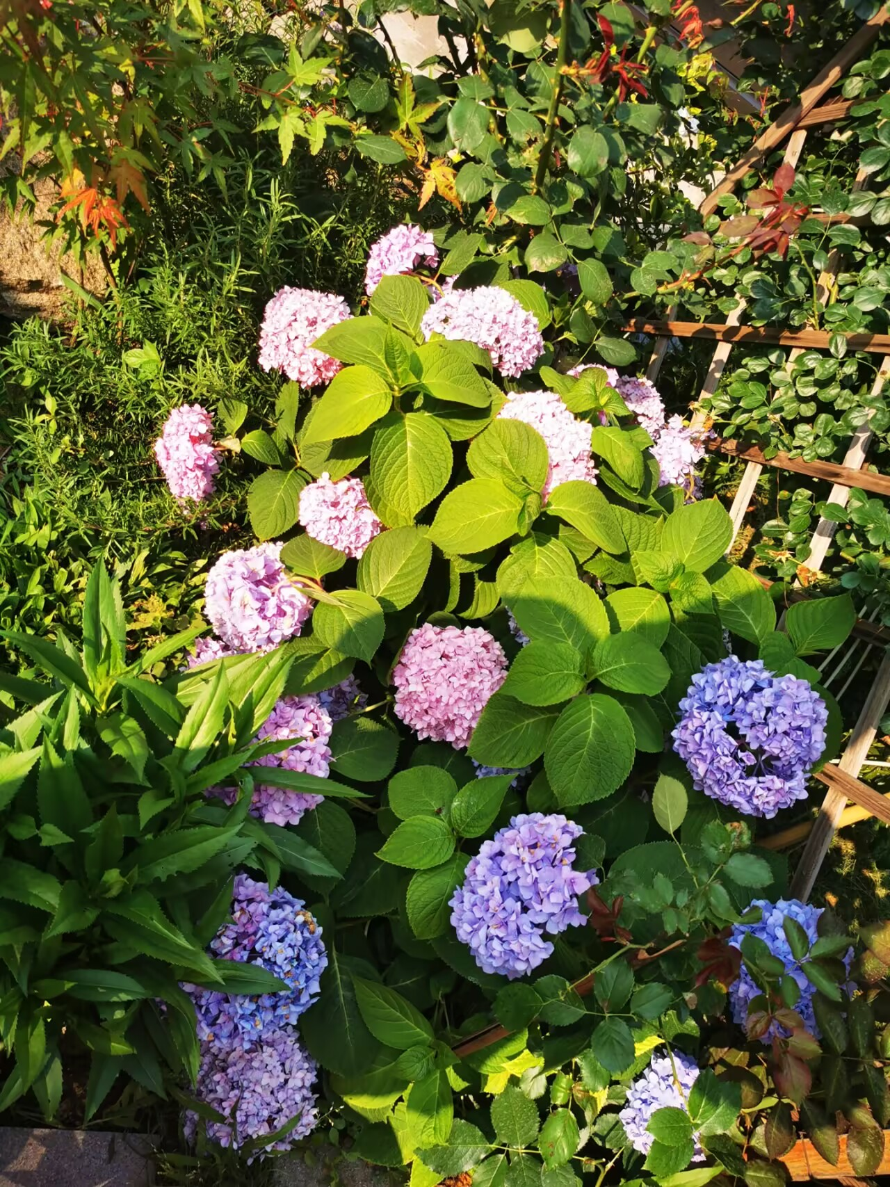 2025-06-10T07:25:50.png 2025-06-10T07:25:50.png