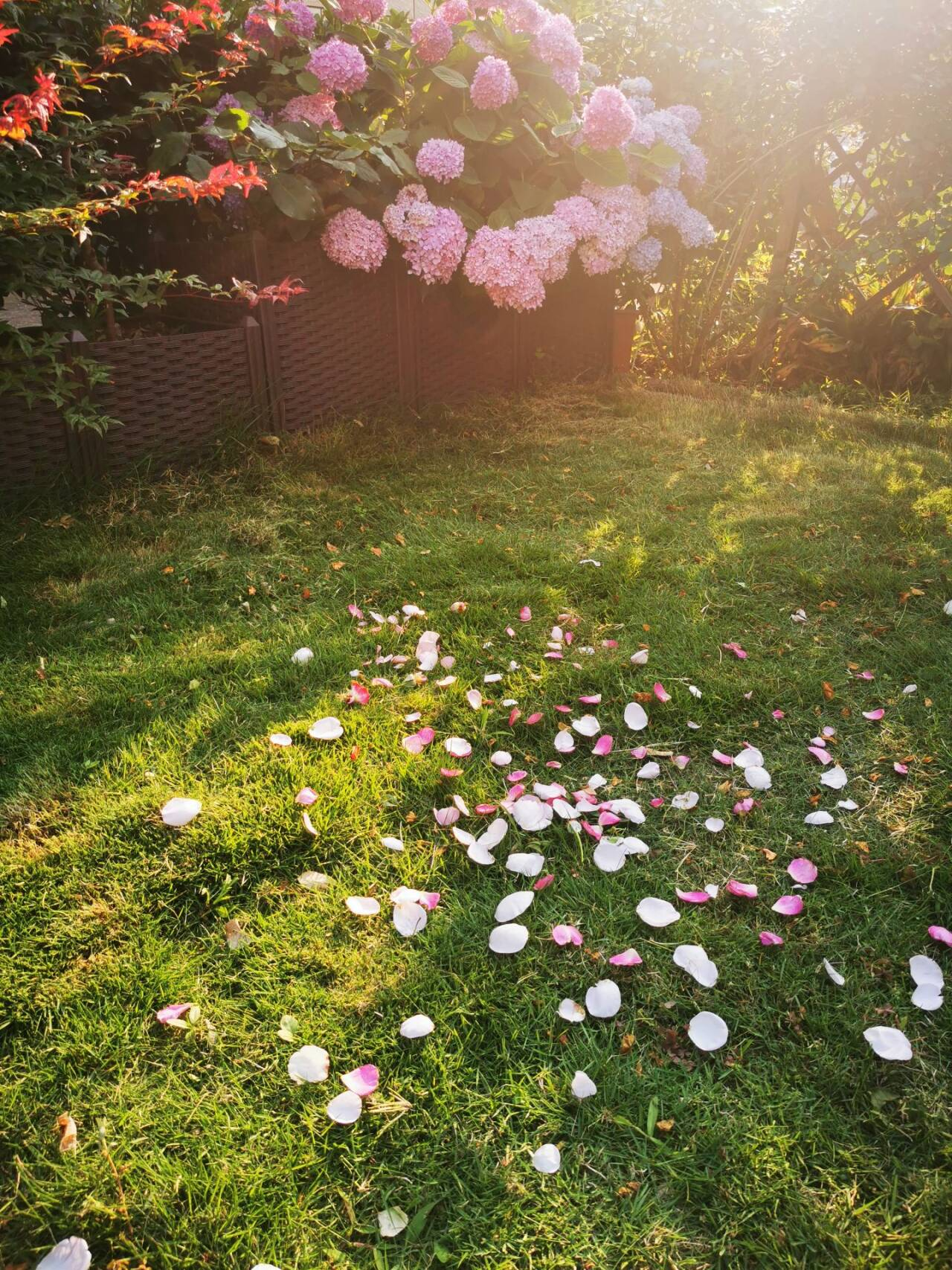 2025-06-10T07:24:09.png 2025-06-10T07:24:09.png