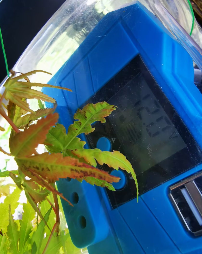 2025-06-18T06:45:39.png